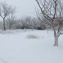 ���� �������, ������-��-����, 52 ���� - ��������� 24 ������� 2016 � ������ �����