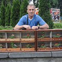 ���� ��������, ���������, 57 ��� - ��������� 1 ������� 2016 � ������ ���� ����������