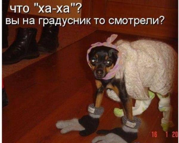  - 18  2017  16:54
