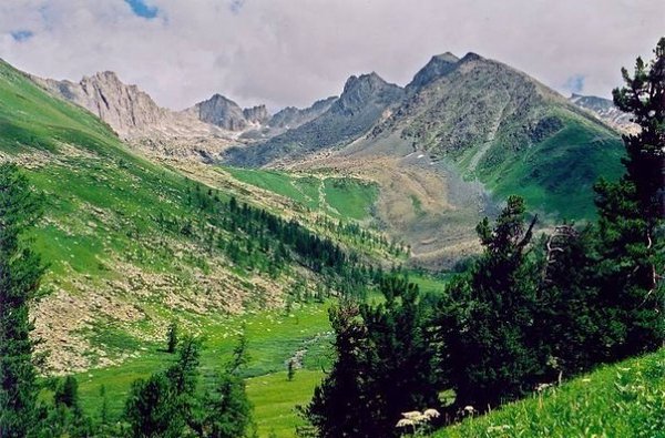 Катунский биосферный заповедник (Алтай) – не хуже, чем в Швейцарии! - 3