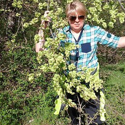 ���� �����, �����������, 60 ��� - ��������� 28 ������ 2016