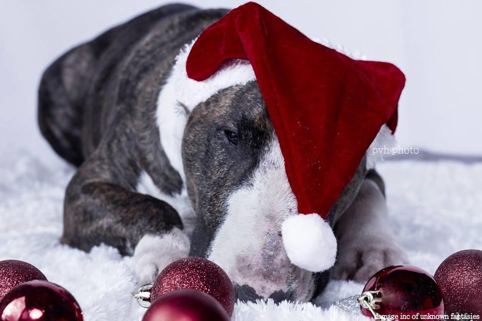 Доброе утро!