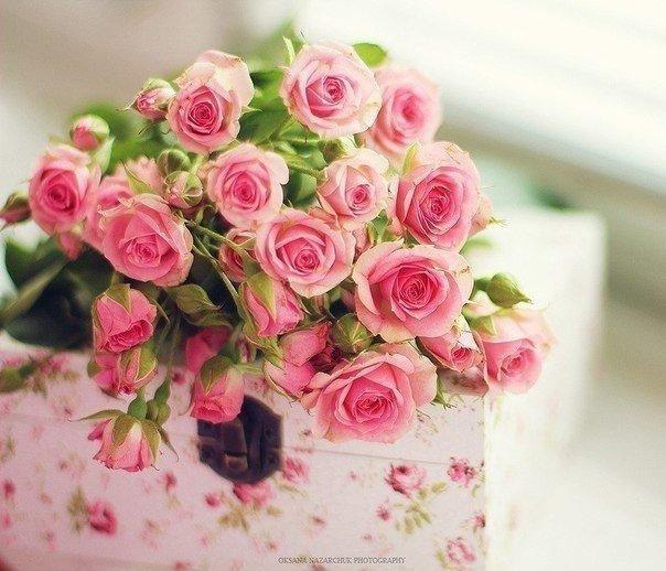   ?     : , , , , ....    ... - 5