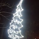  , , 41  -  22  2017   2017