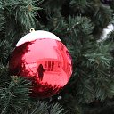 ���� �������, �����, 39 ��� - ��������� 28 ������� 2016 � ������ ������ ��������
