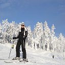 ���� �����, ������, 39 ��� - ��������� 12 ������ 2016 � ������ ������ ��������