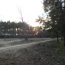  Sam, , 47  -  28  2017    