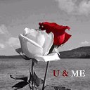 ���� Dieter, ����� - ��������� 16 ������� 2017 � ������ ���� ����������