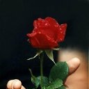  Vladimir,  -  2  2016    