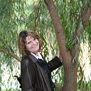 ���� ������, ���������� - ��������� 5 ����� 2017 � ������ ���� ����������