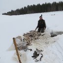 ���� �������, ����, 51 ��� - ��������� 7 ����� 2017 � ������ ������ ��������