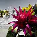  ,  -  20  2016        ͻ