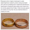 ���� ������, �������-���������, 69 ��� - ��������� 25 ����� 2017 � ������ ������ ��������