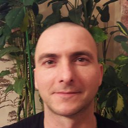 �, ������, 46 ���