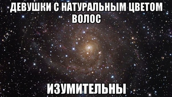  - 13  2017  09:08