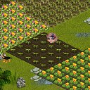 ���� �����, ����� - ��������� 1 ������� 2017 � ������ �Tropikania�