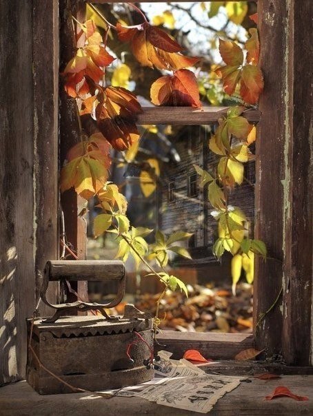 �� �������� �� ������������� ������, �������� ������ � �������� � ����� ������� � ����������, ... - 5