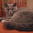 ���� �������, �����-���������, 45 ��� - ��������� 19 ������� 2016 � ������ ������ ��������