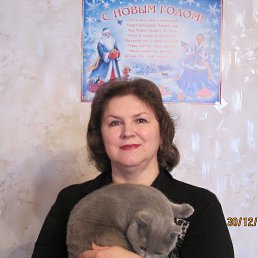 �������, ������������, 64 ����