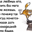 ���� �����, �����-��������� - ��������� 21 ������ 2017 � ������ ������ ��������