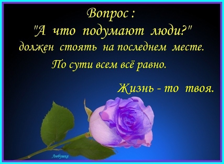  - 10  2017  20:05 - 26