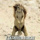���� �������, ���������, 42 ���� - ��������� 19 ������� 2016 � ������ ���� ����������