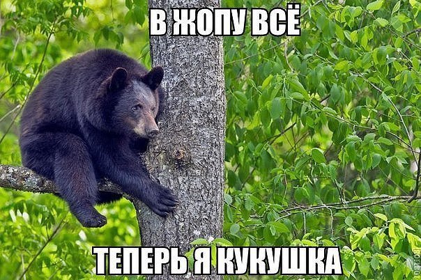  - ,  - 20  2016  14:01