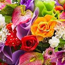 ����!!! �� ������� ���� ����������