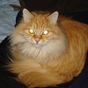  *Aleksandr*, , 48  -  2  2017    