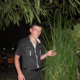 ���� ���������, ���������, 41 ��� - ��������� 9 ������� 2017