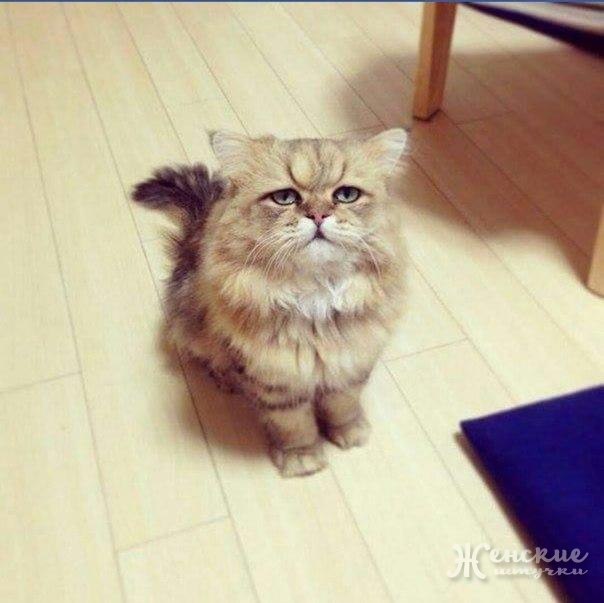   : "  !  !"     ,   ,  ...