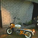 ���� Alexey, ������ - ��������� 4 ������� 2016 � ������ ���� ����������