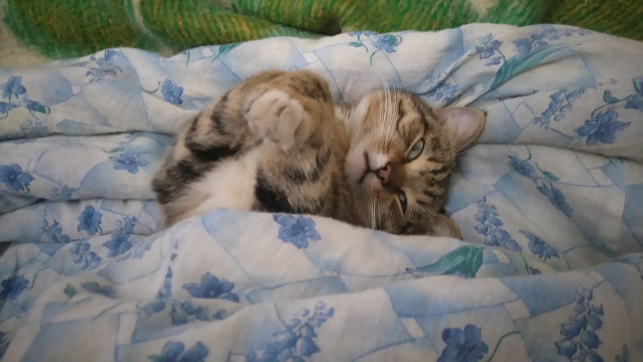   !)