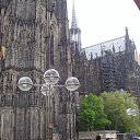  , , 82  -  16  2017   2005. .