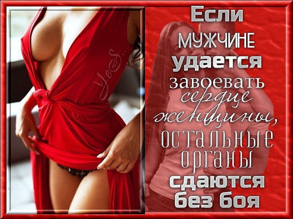 ������ ������� - 18 ������ 2016 � 17:27