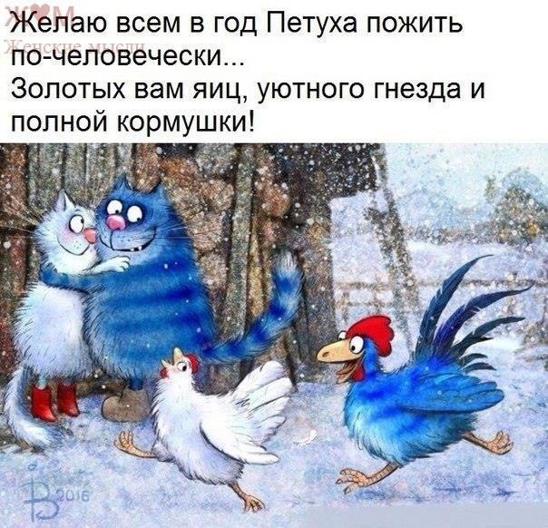  - 2  2017  16:33