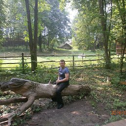 ���� ��������, ������ ��������, 51 ��� - ��������� 4 ����� 2017