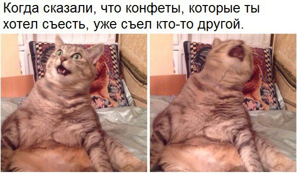       - 30  2017  09:00