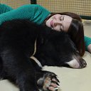 ���� Angel, ������� - ��������� 21 ������ 2017 � ������ ���� ����������