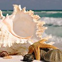 ���� Sveta, �����-���������, 34 ���� - ��������� 31 ������� 2016 � ������ ���� ����������