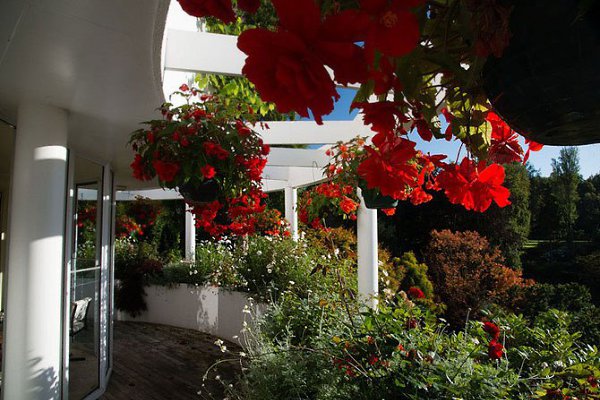 ))).�������������� ��� Maple Glen � ����� �������� �������������� ��� Maple Glen ���������� � ����� ... - 16