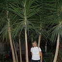 ���� ���, �����, 60 ��� - ��������� 12 ������� 2017 � ������ ���� ����������
