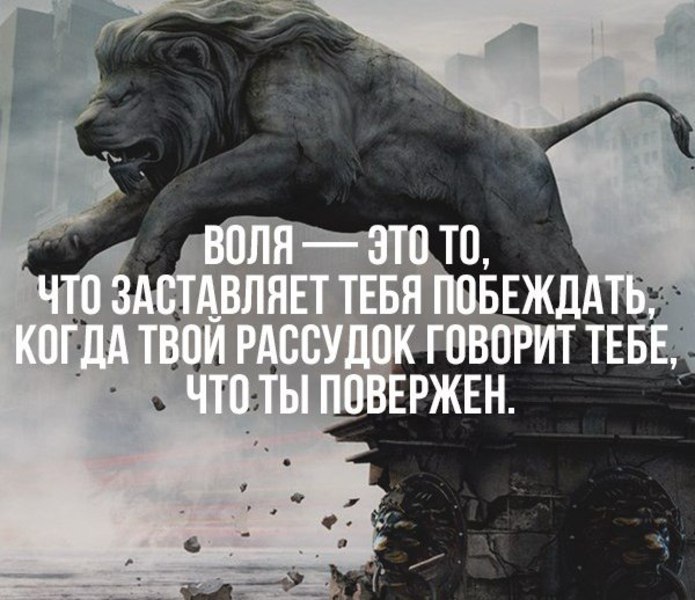LIFE -  - 30  2016  09:57