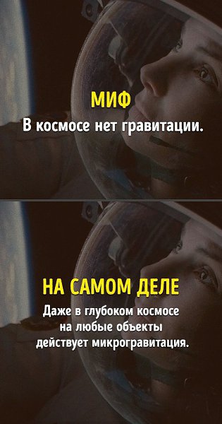 9 фактов из школьной программы, которые оказались неправдой - 9