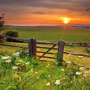 ���� ��������, ������������ - ��������� 14 ������� 2017 � ������ ������ ��������