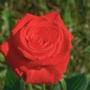 ���� �����, �����-�������, 52 ���� - ��������� 18 ������� 2016 � ������ ���� ����������