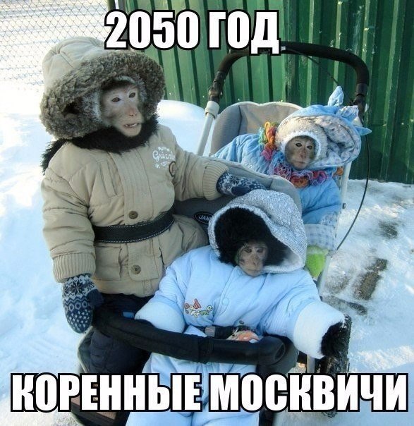    - 3  2017  14:30