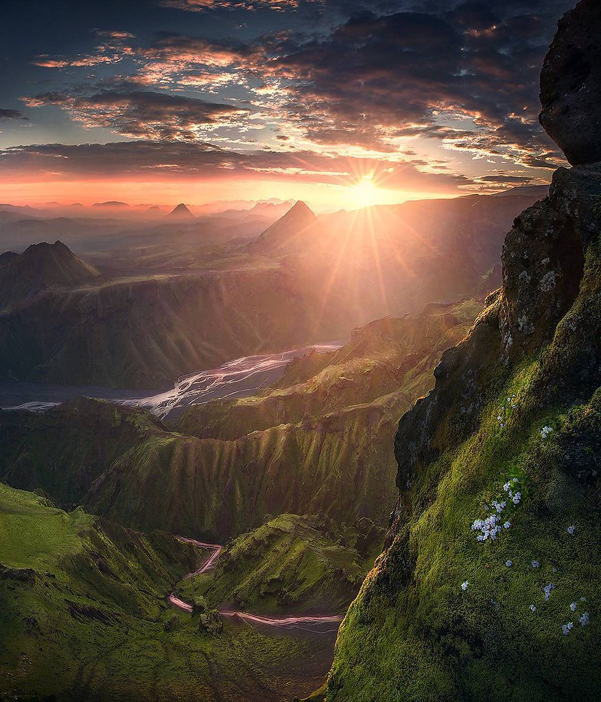    .: Max Rive