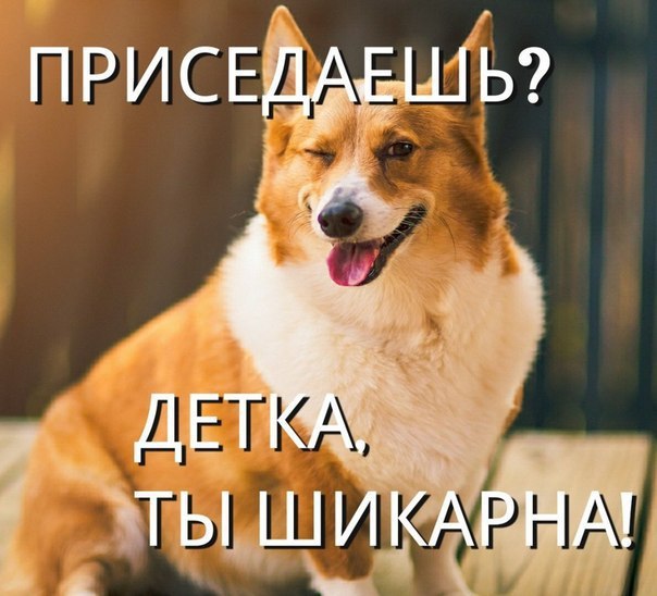 ����� - ��� ����� - 4 ������� 2016 � 15:52