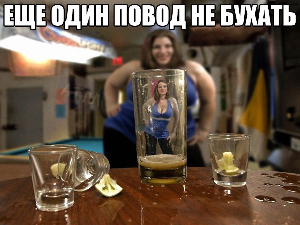  -   - 12  2016  13:40